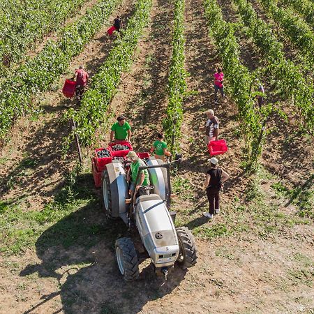 Il Querciolo - Azienda Biologica, Agriturismo E Cantina Marciano della Chiana Bagian luar foto