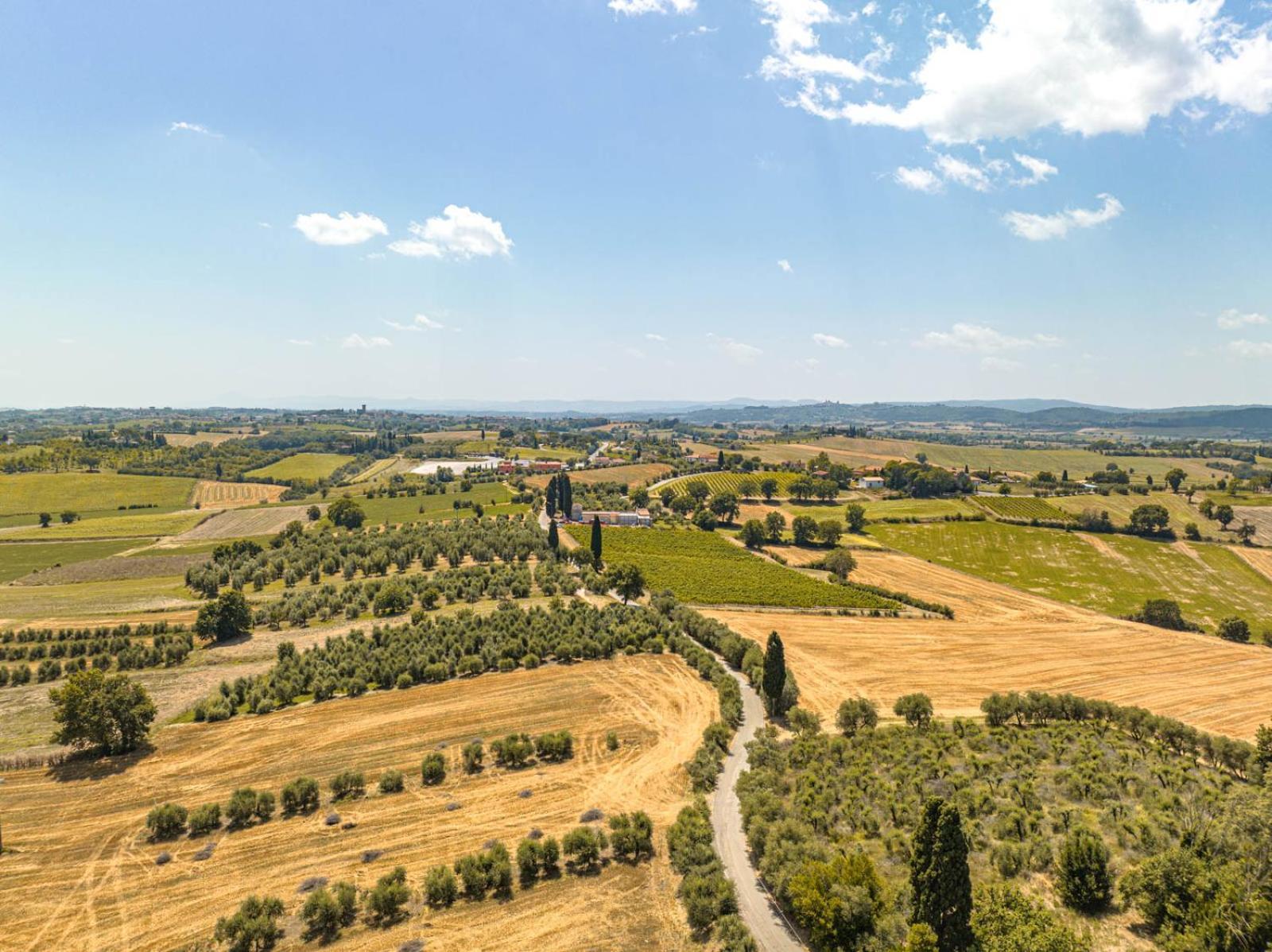 Il Querciolo - Azienda Biologica, Agriturismo E Cantina Marciano della Chiana Bagian luar foto